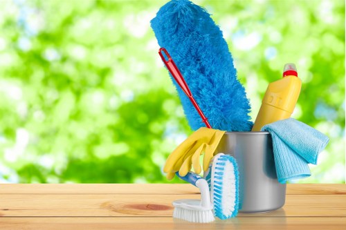 Professional house cleaning service for Battersea homes and flats