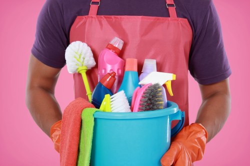 Professional regular cleaning for a Battersea office or small business