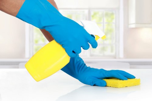 Professional pet stain and odour removal service in a Battersea home