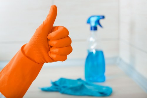 Battersea property receiving professional pet stain and smell removal