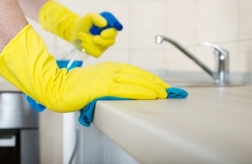 Thorough oven door glass and interior cleaning in Battersea