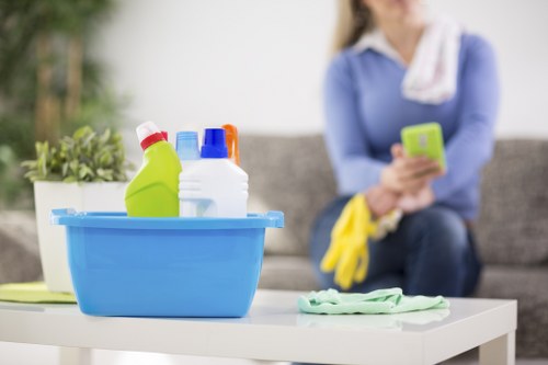 Regular house cleaning for Battersea residents
