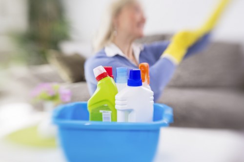 Professional home cleaning in Battersea