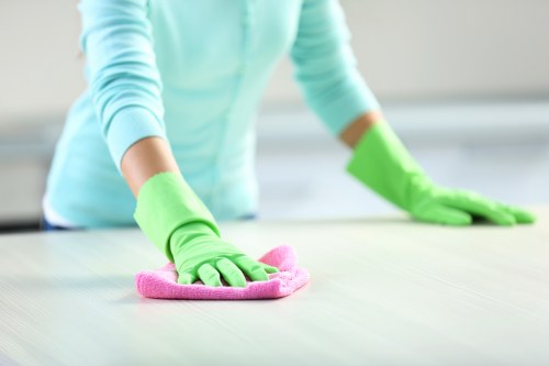 Detailed cleaning service for Battersea homes and offices