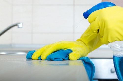 Professional cleaners maintaining desks and meeting rooms in a Battersea office