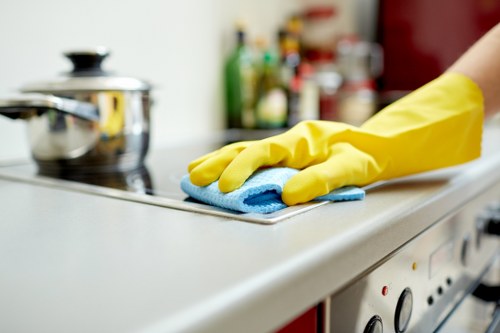Mattress stain and odour treatment service in Battersea