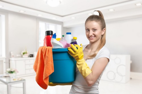 Professional hot water extraction cleaning on a carpet in Battersea