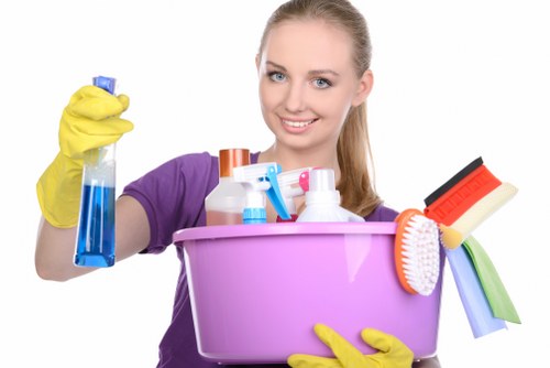 Deep cleaning treatment for cat urine and pet odours in Battersea