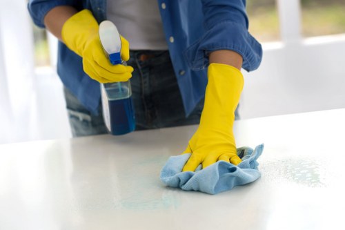 Local Battersea carpet cleaning team assessing carpet fibers and stain areas