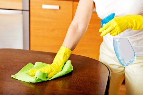 Kitchen and bathroom regular cleaning in a Battersea apartment
