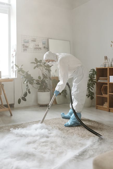 A person dressed in white protective suit, gloves, and blue shoe covers using a professional carpet cleaning machine on a beige rug in a bright, modern living room. The room features white walls, large windows letting in natural light, and minimalistic wooden furniture, including a small bookshelf and a side table. Two potted plants are visible near the window, adding greenery to the space. Visible cleaning tools include a vacuum hose connected to the machine, and the area being cleaned appears fresh and well-maintained, reflecting deep surface cleaning and sanitisation services by Carpet Cleaners Battersea in a domestic setting.