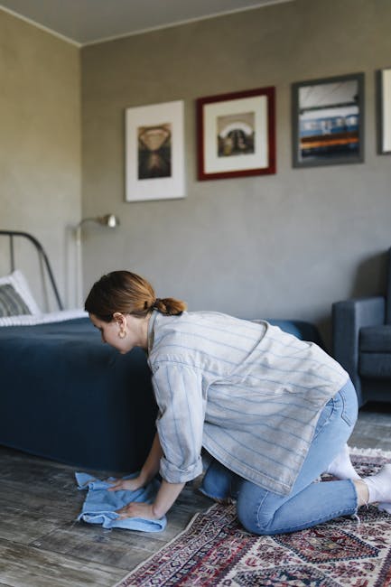 A person dressed in white protective suit, gloves, and blue shoe covers using a professional carpet cleaning machine on a beige rug in a bright, modern living room. The room features white walls, large windows letting in natural light, and minimalistic wooden furniture, including a small bookshelf and a side table. Two potted plants are visible near the window, adding greenery to the space. Visible cleaning tools include a vacuum hose connected to the machine, and the area being cleaned appears fresh and well-maintained, reflecting deep surface cleaning and sanitisation services by Carpet Cleaners Battersea in a domestic setting.
